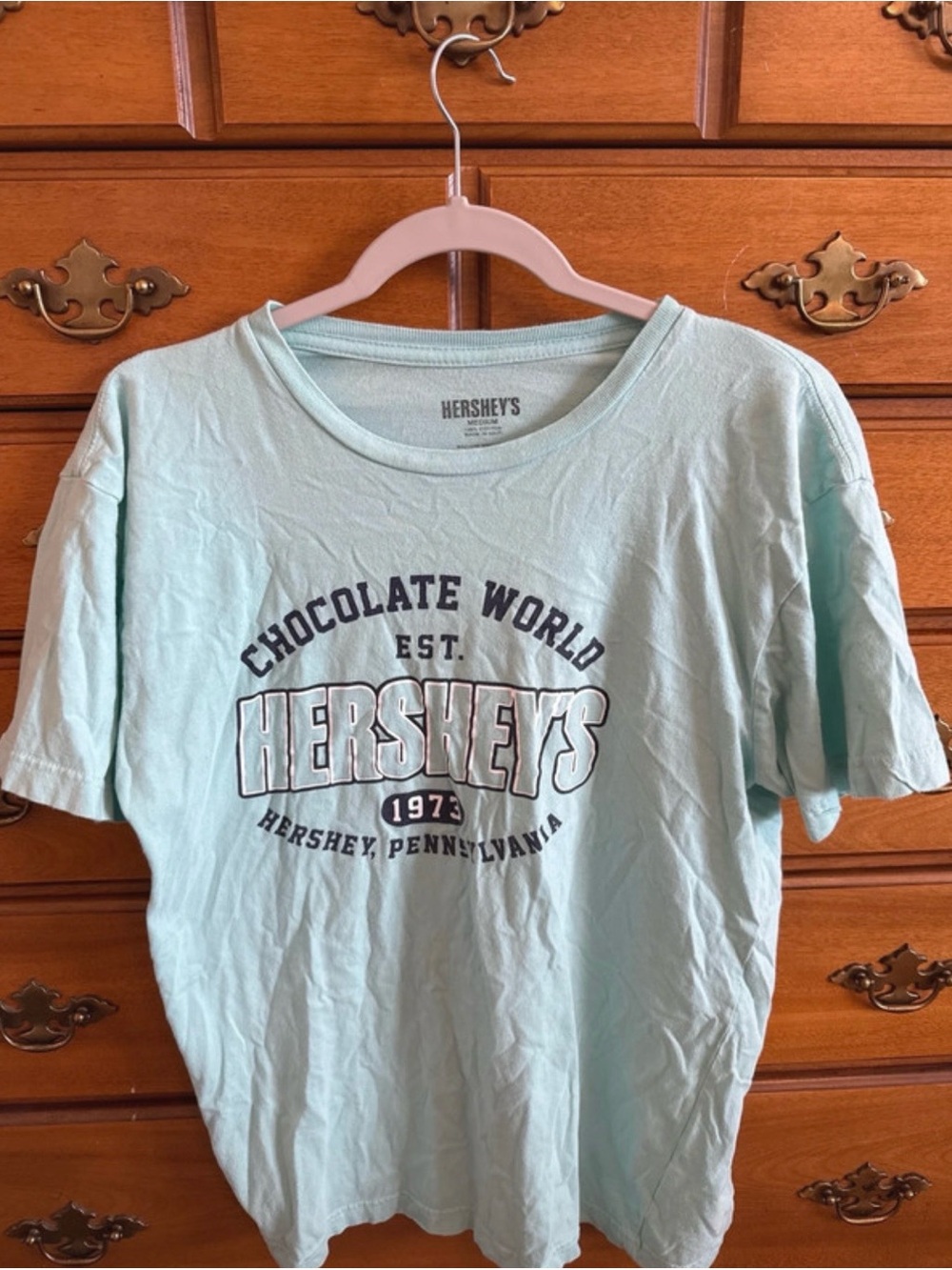 Hershey's Light Aqua Chocolate World Graphic Tee